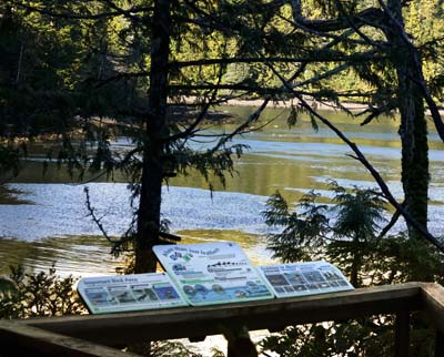 bird blind at new spring cove trail